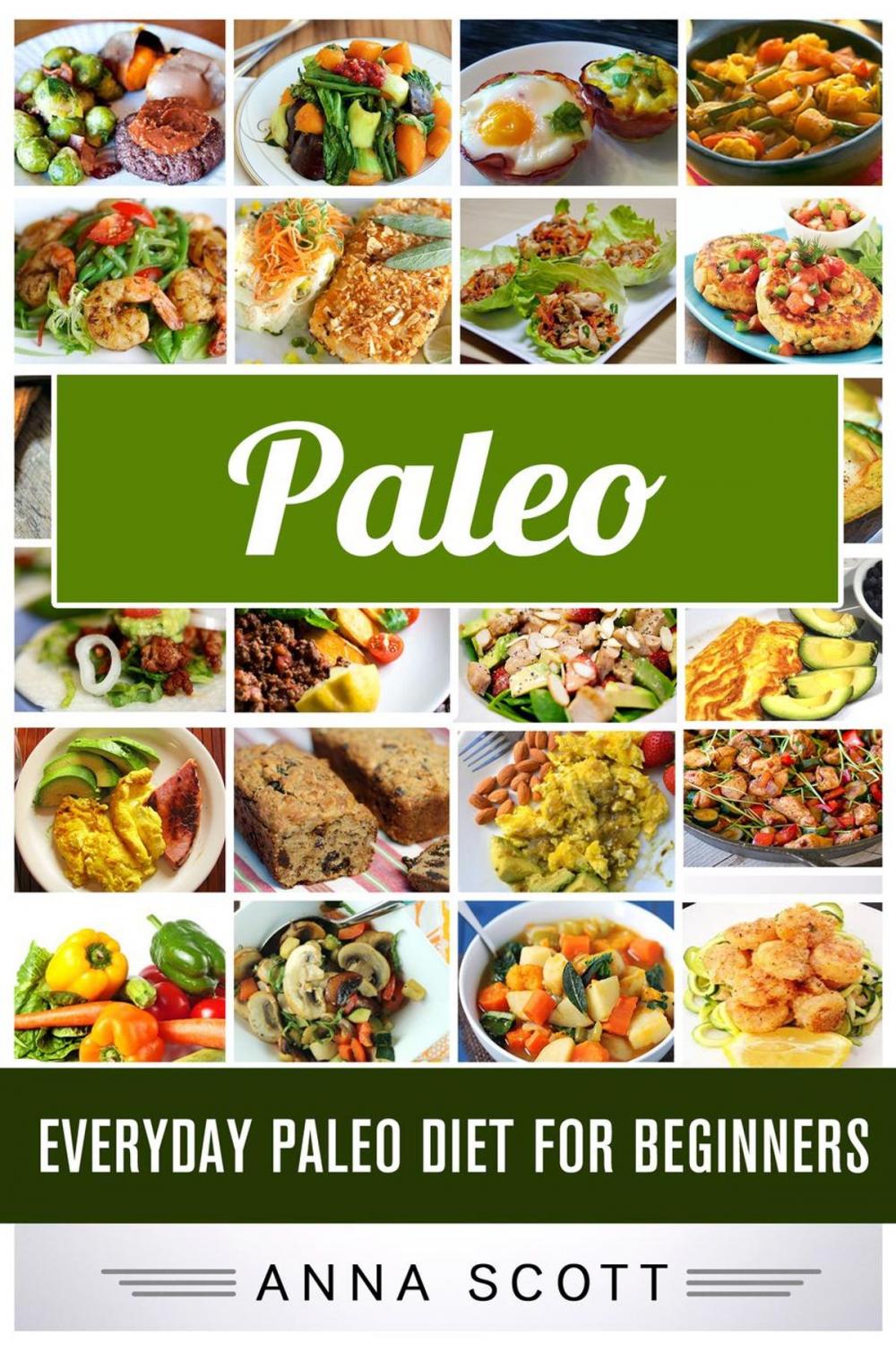 Big bigCover of Paleo : Everyday Paleo Diet for Beginners