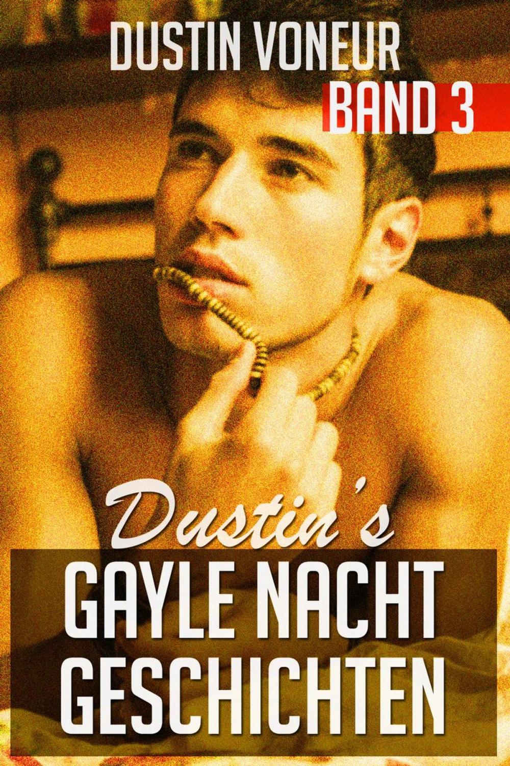 Big bigCover of Dustin's Gayle Nacht Geschichten: Band 3