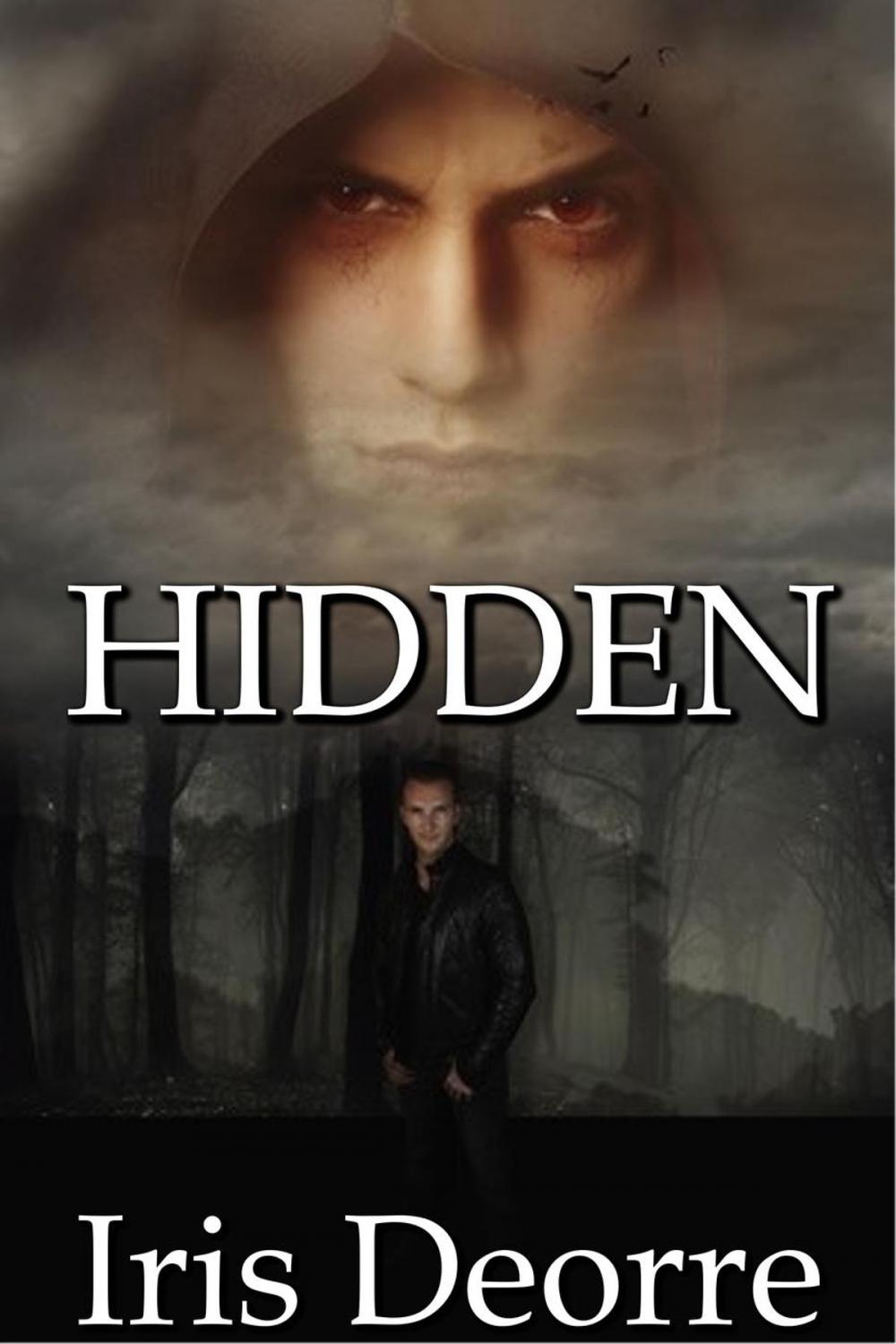 Big bigCover of Hidden