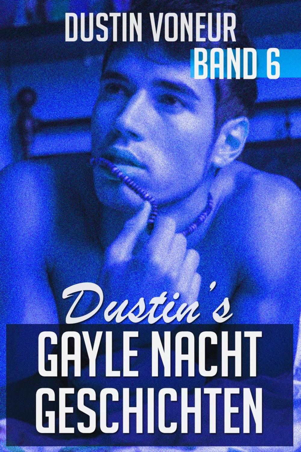 Big bigCover of Dustin's Gayle Nacht Geschichten: Band 6