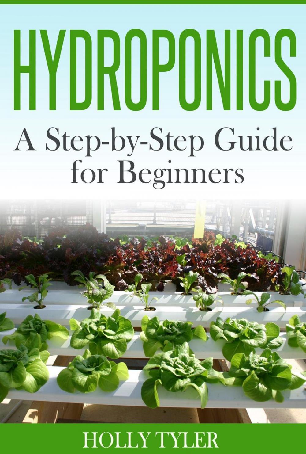 Big bigCover of Hydroponics: A Step-by-Step Guide for Beginners