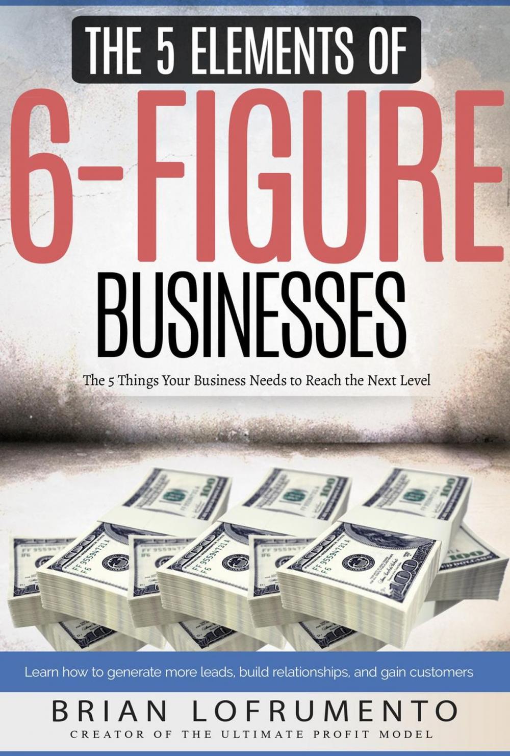 Big bigCover of The 5 Elements of 6-Figure Businesses: The 5 Things Your Business Needs to Reach the Next Level