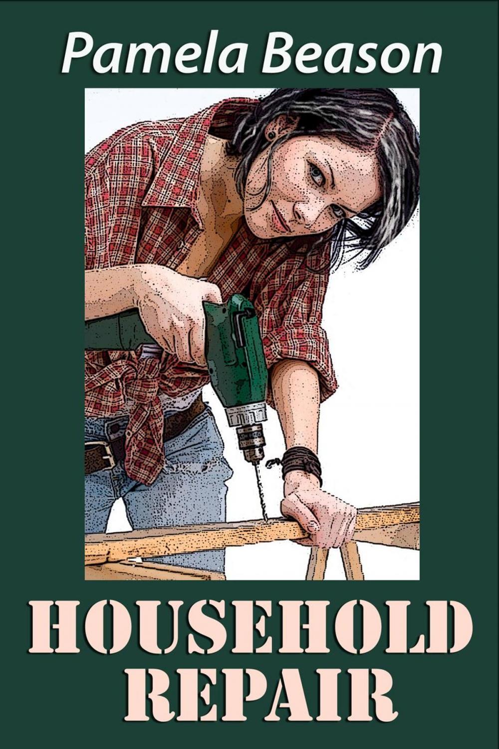 Big bigCover of Household Repair: A Short Story