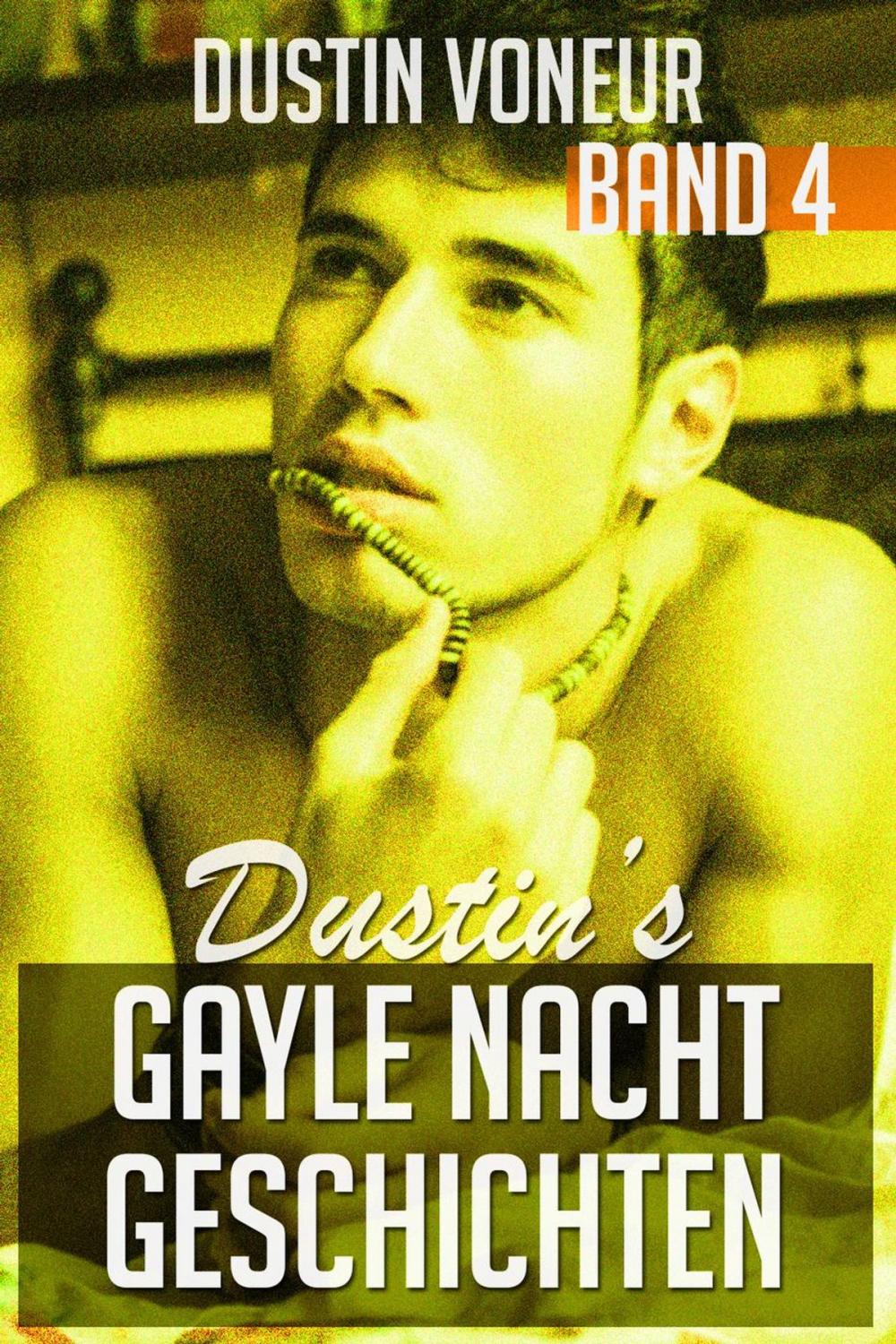 Big bigCover of Dustin's Gayle Nacht Geschichten: Band 4