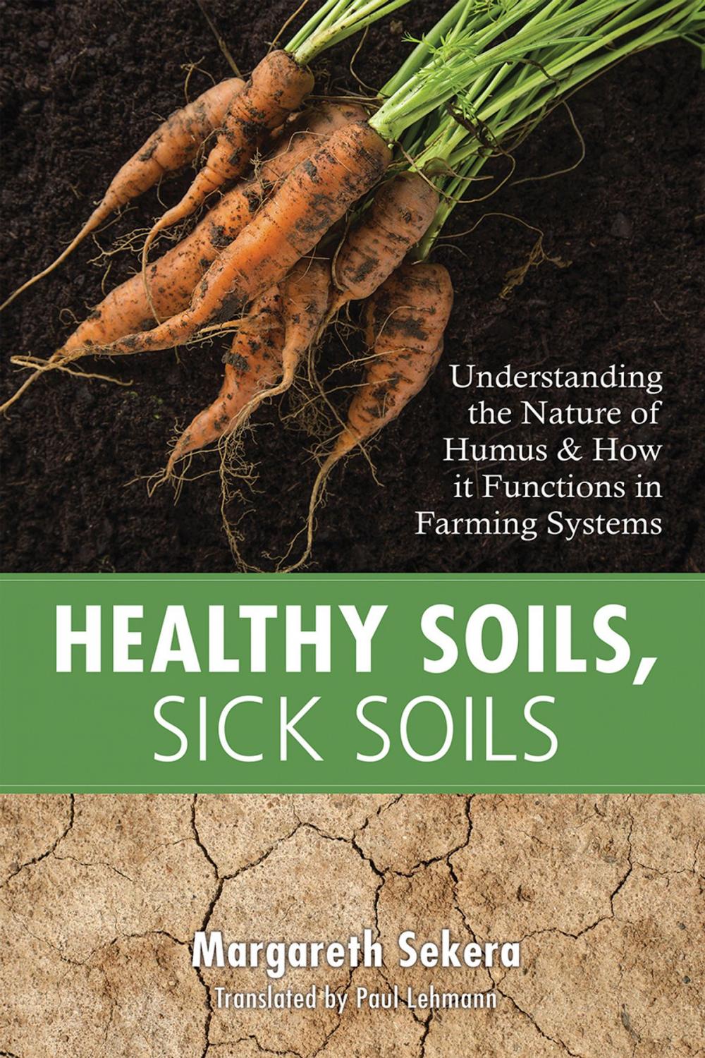 Big bigCover of Healthy Soils, Sick Soils