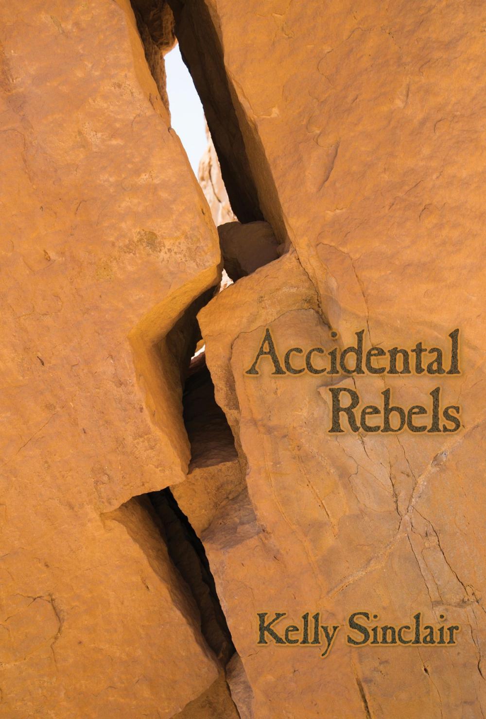 Big bigCover of Accidental Rebels