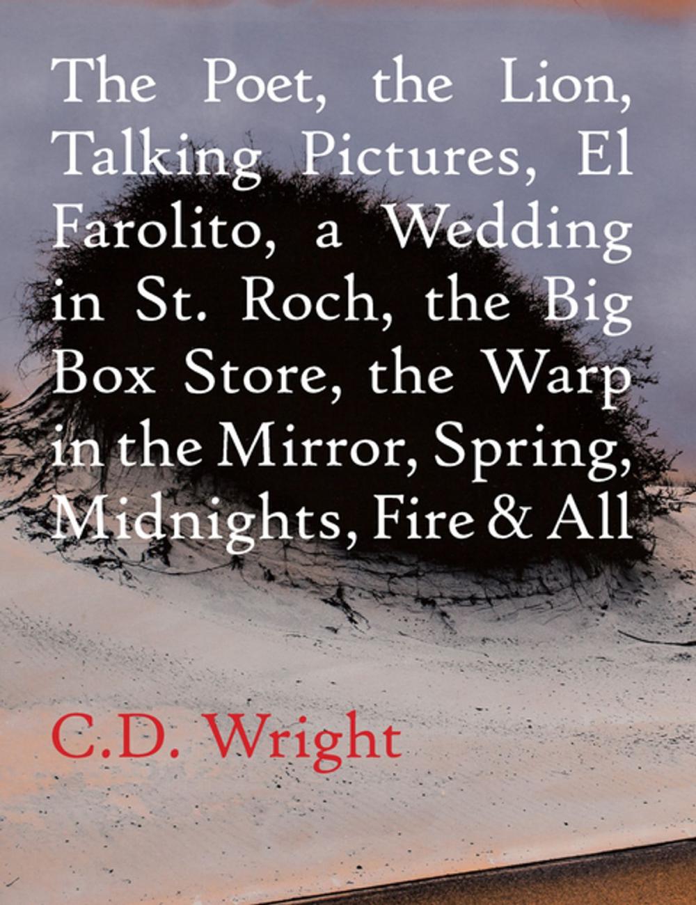 Big bigCover of The Poet, The Lion, Talking Pictures, El Farolito, A Wedding in St. Roch, The Big Box Store, The Warp in the Mirror, Spring, Midnights, Fire &amp; All