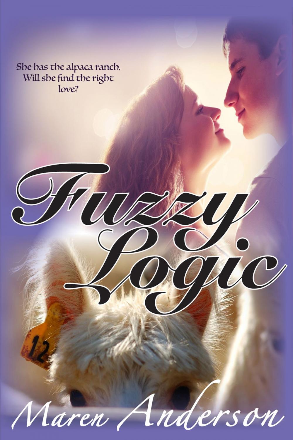 Big bigCover of Fuzzy Logic