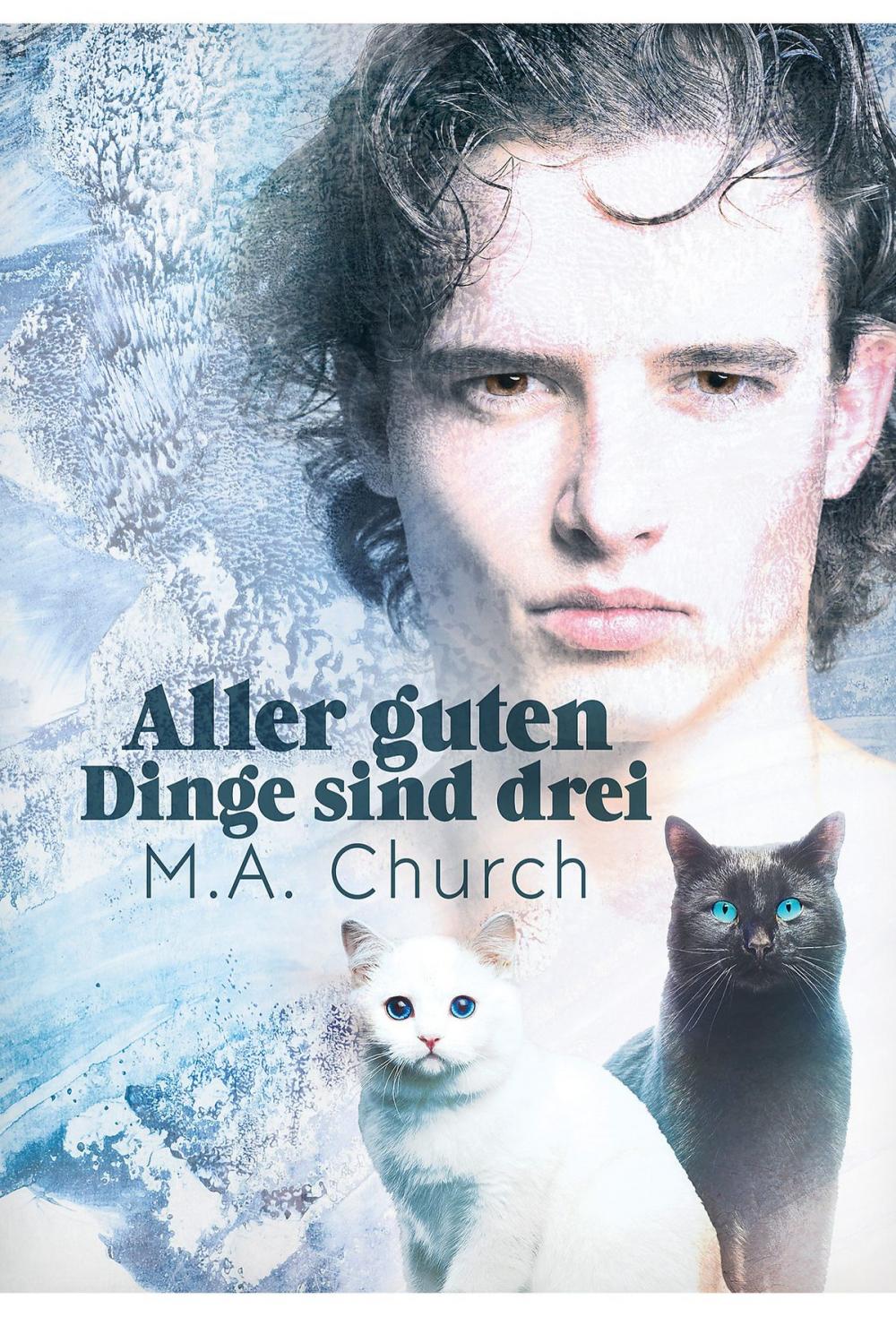 Big bigCover of Aller guten Dinge sind drei