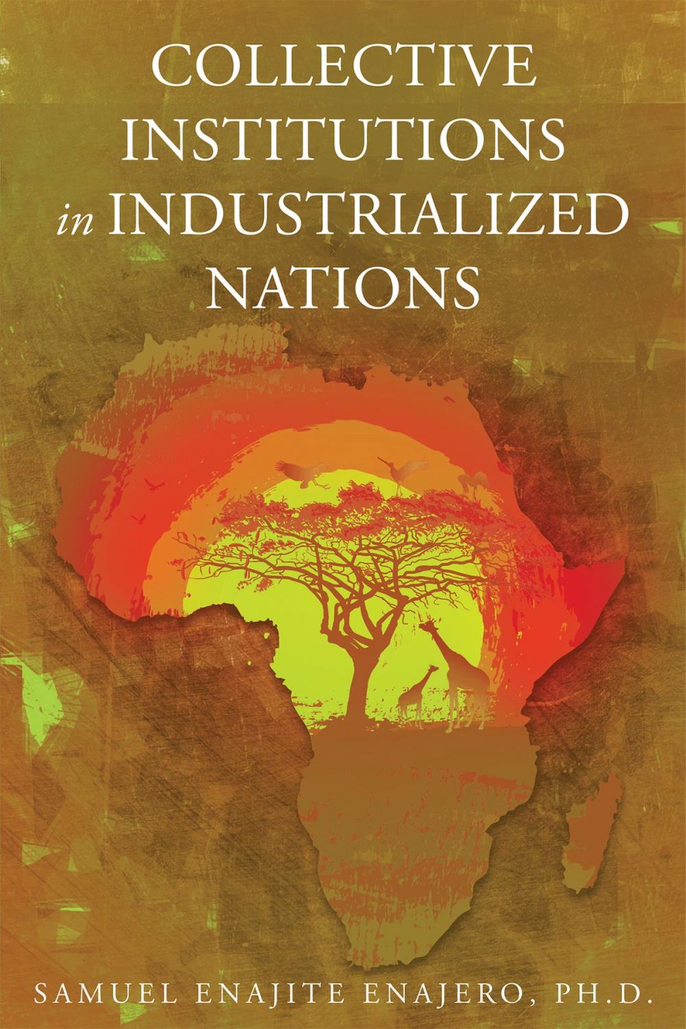 Big bigCover of COLLECTIVE INSTITUTIONS IN INDUSTRIALIZED NATIONS: Economic Lessons for sub-Saharan Africa