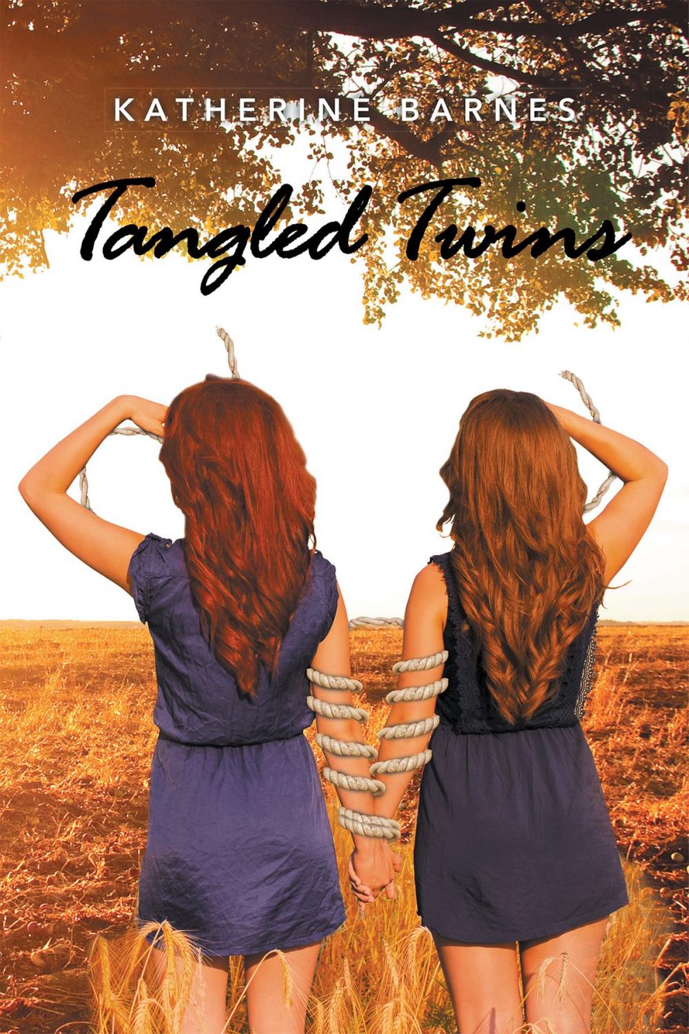Big bigCover of Tangled Twins