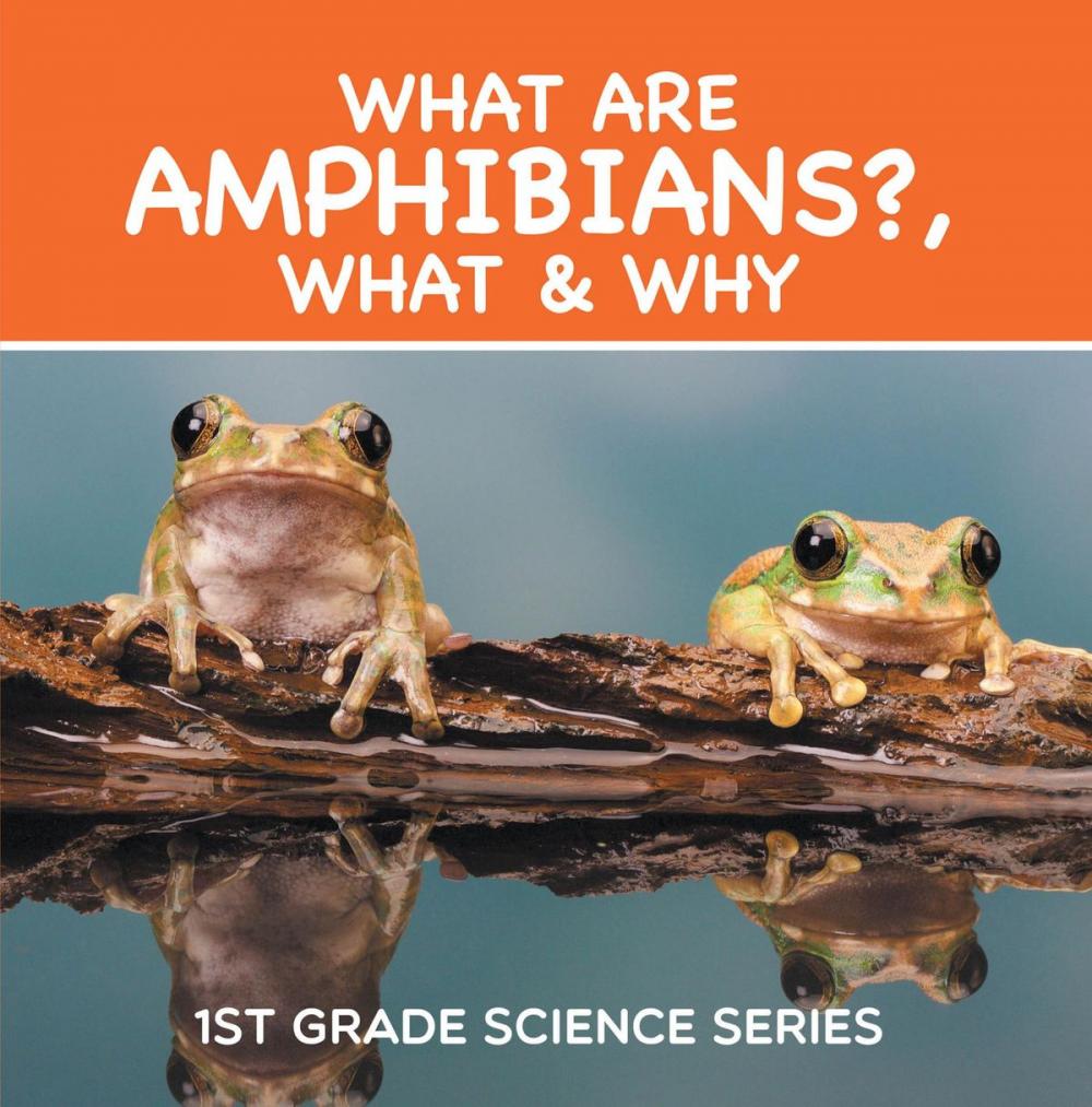 Big bigCover of What Are Amphibians?, What & Why : 1st Grade Science Series