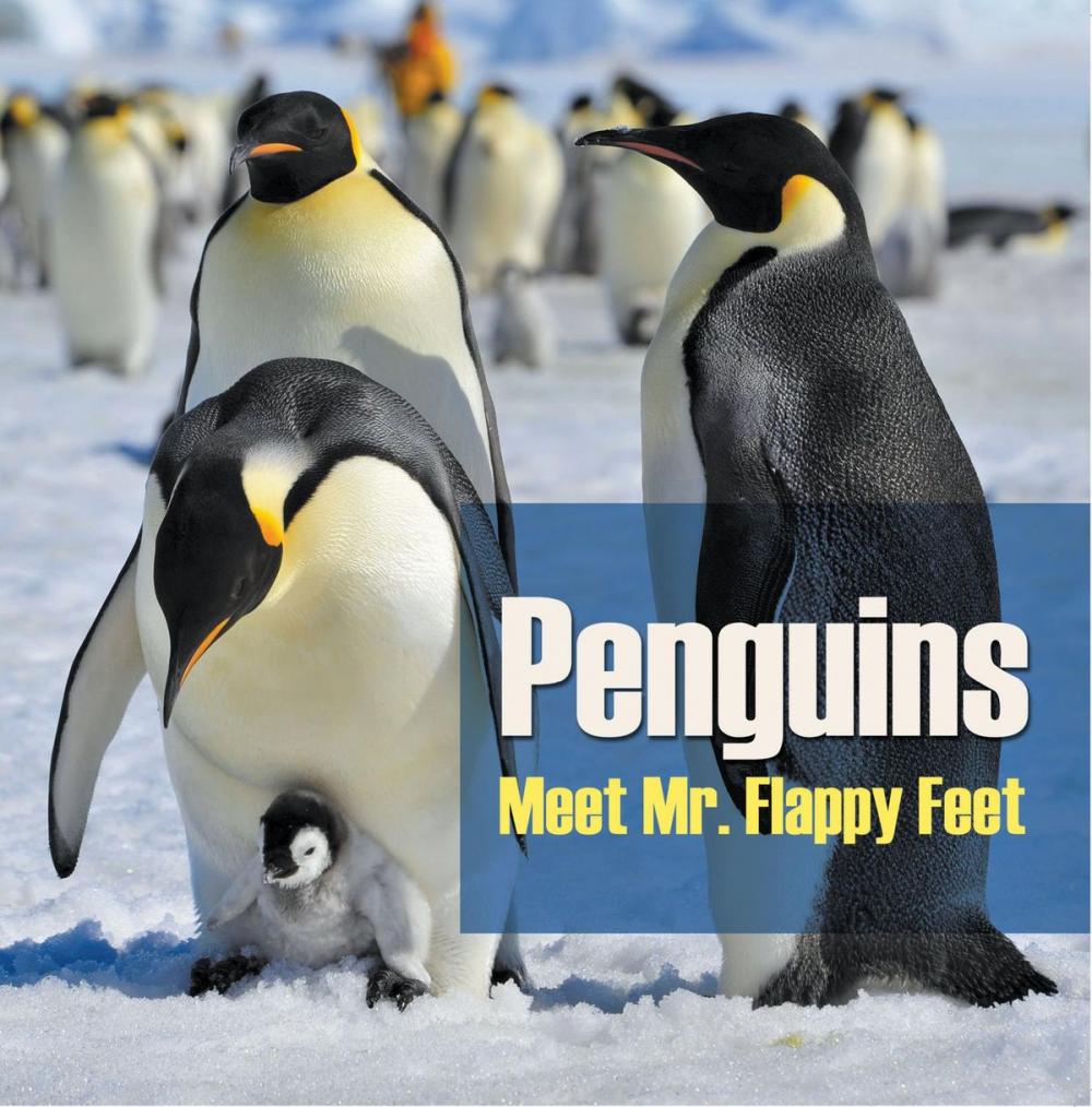 Big bigCover of Penguins - Meet Mr. Flappy Feet