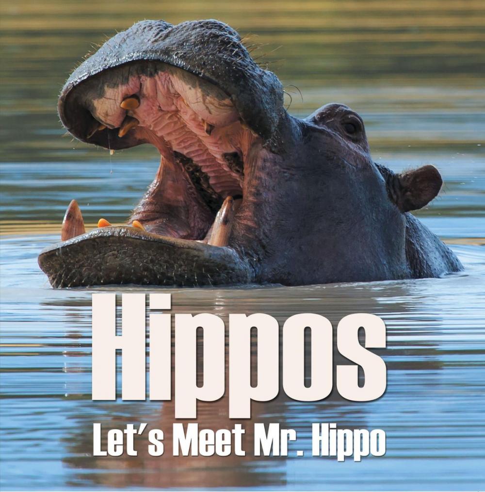 Big bigCover of Hippos - Let's Meet Mr. Hippo