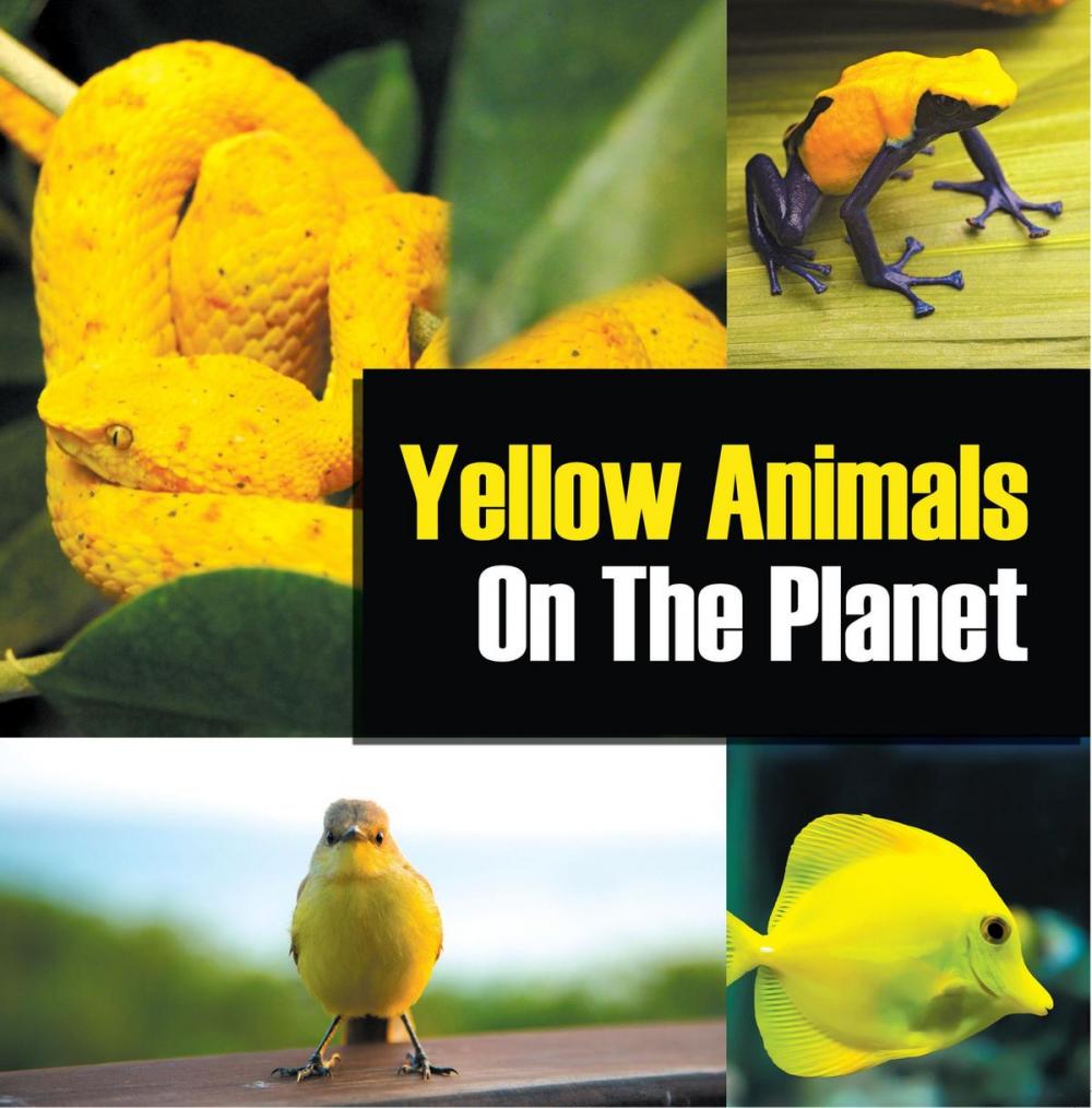 Big bigCover of Yellow Animals On The Planet