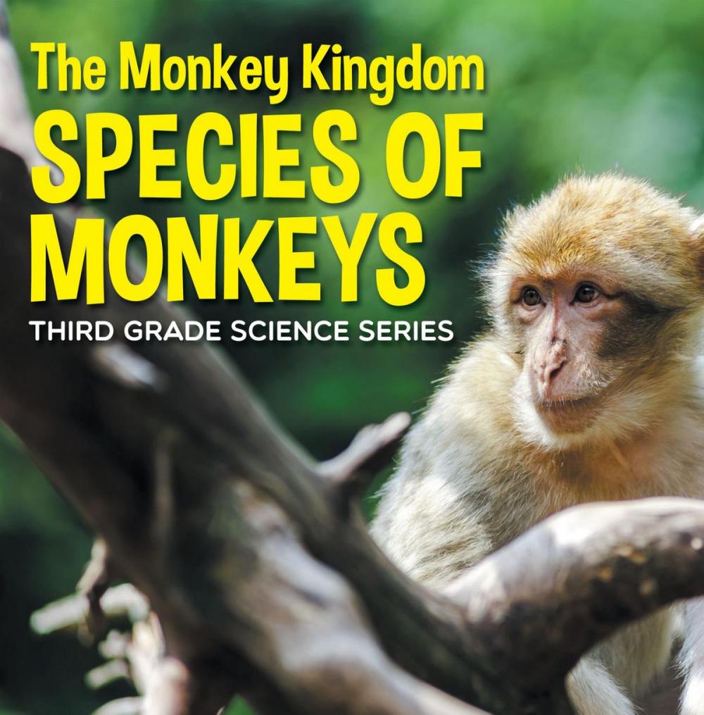 Big bigCover of The Monkey Kingdom (Species of Monkeys) : 3rd Grade Science Series