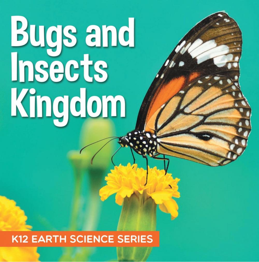 Big bigCover of Bugs and Insects Kingdom : K12 Earth Science Series