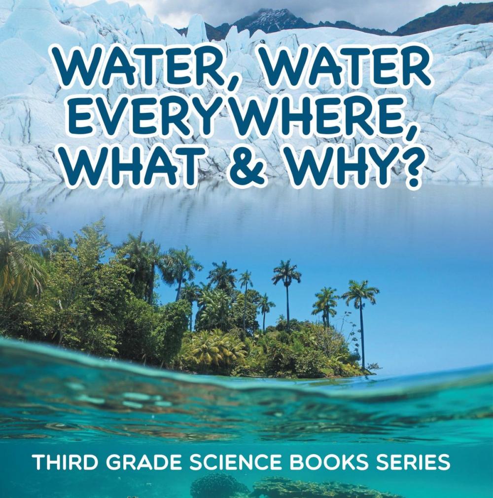 Big bigCover of Water, Water Everywhere, What & Why? : Third Grade Science Books Series