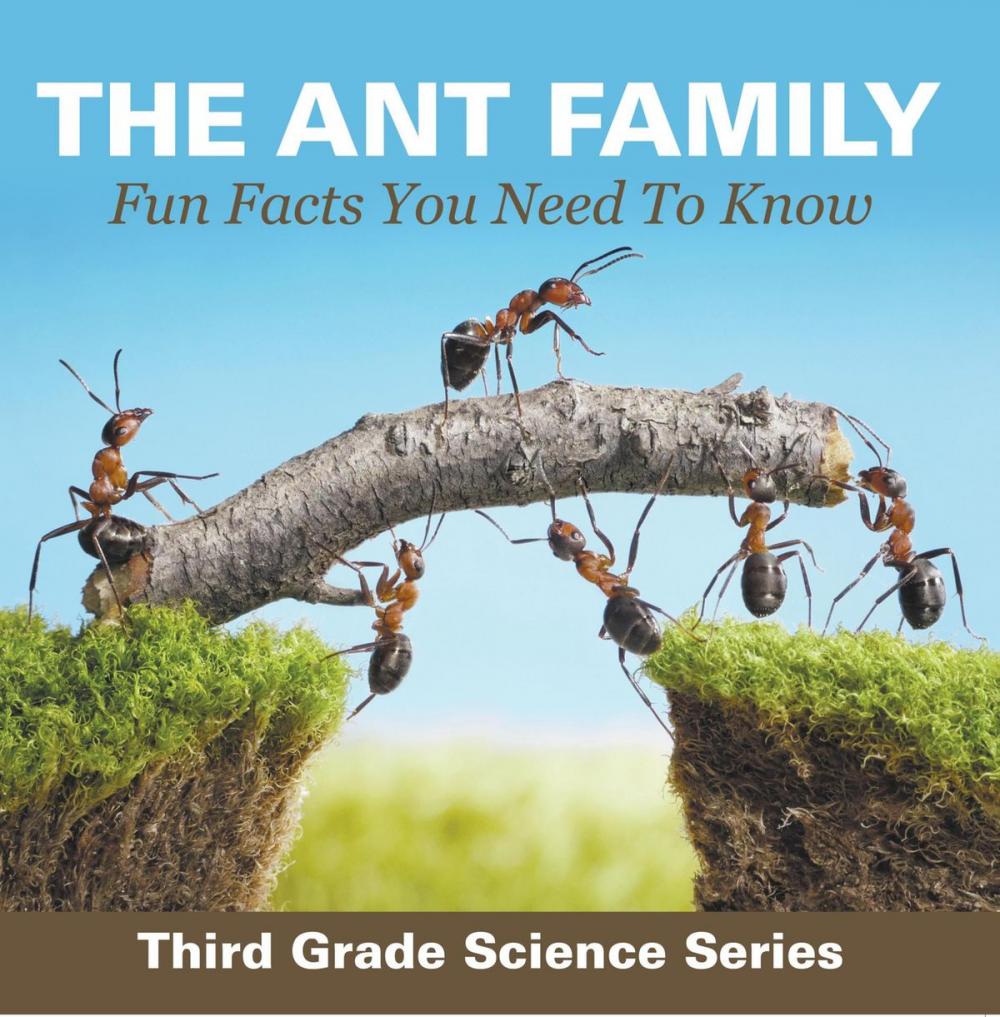 Big bigCover of The Ant Family - Fun Facts You Need To Know : Third Grade Science Series