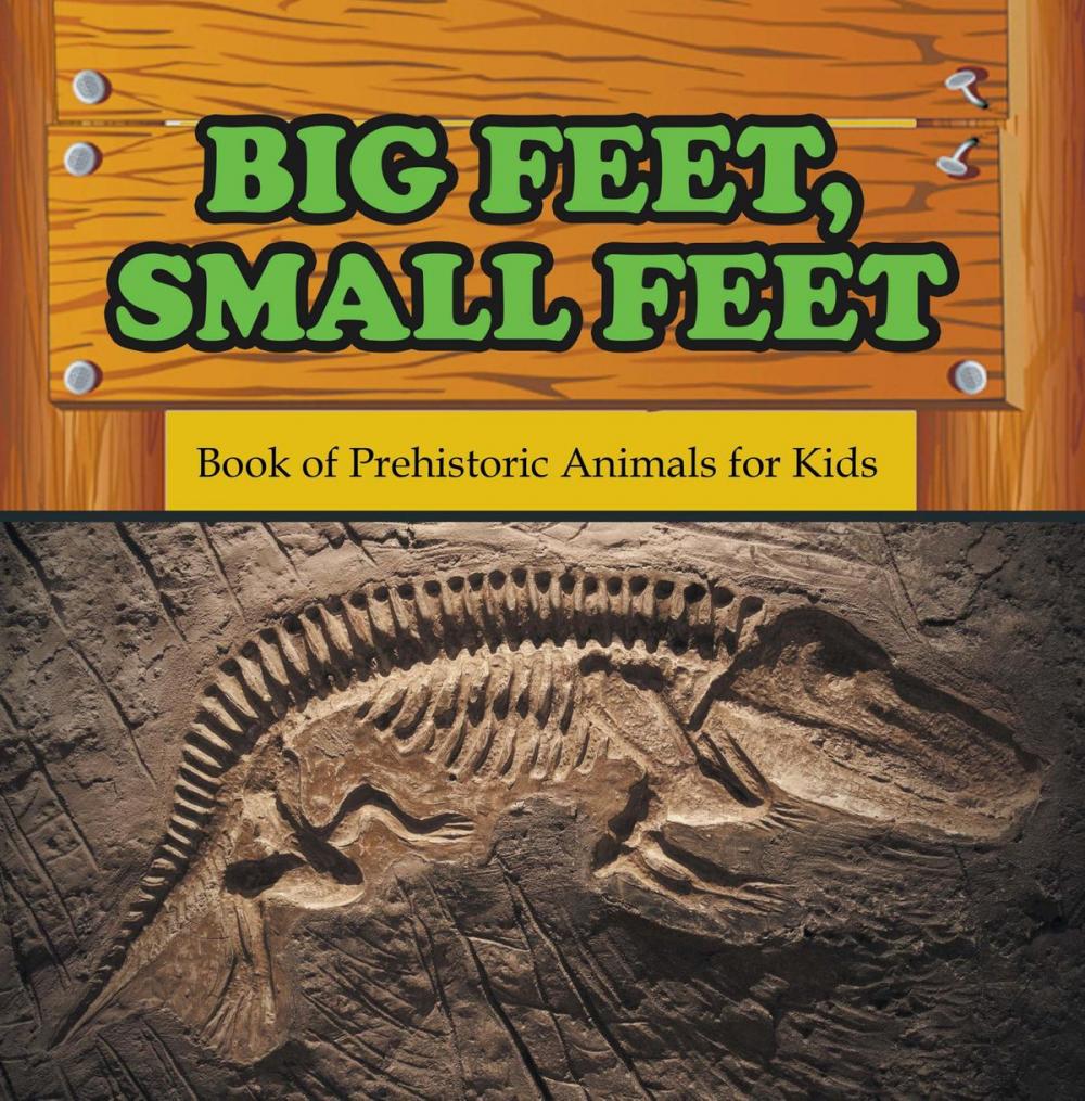 Big bigCover of Big Feet, Small Feet : Book of Prehistoric Animals for Kids