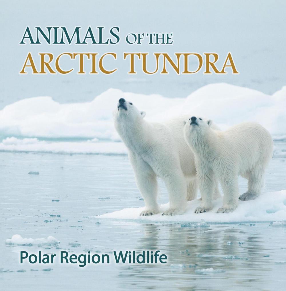 Big bigCover of Animals of the Arctic Tundra: Polar Region Wildlife