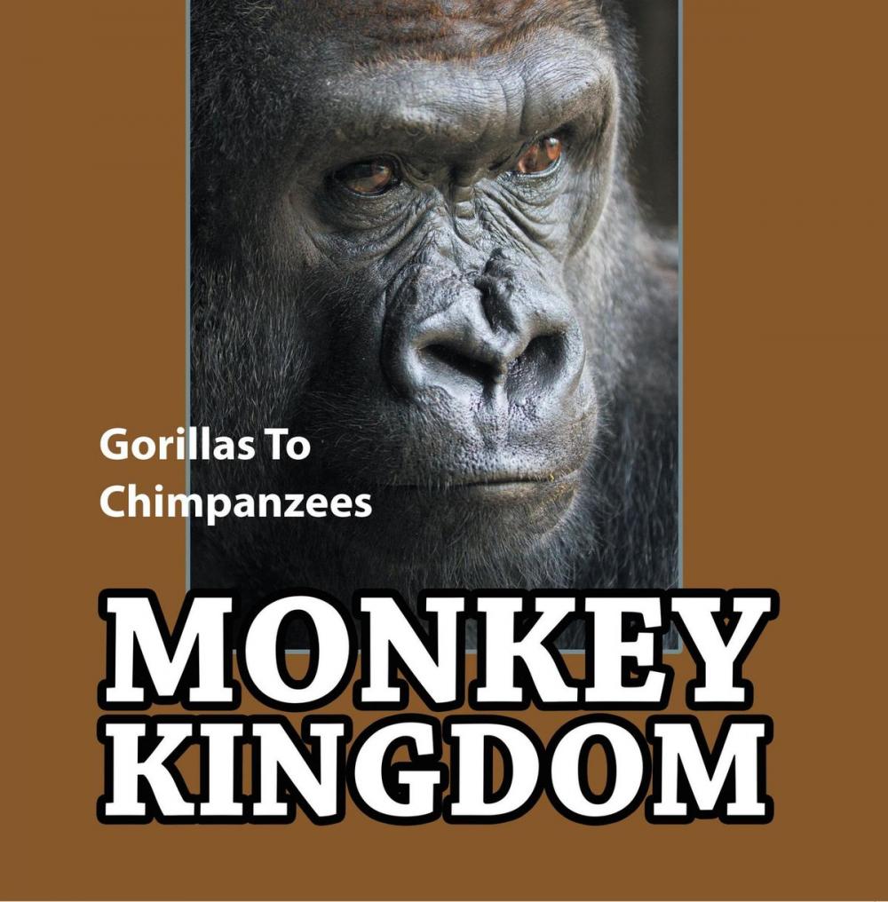 Big bigCover of Monkey Kingdom: Gorillas To Chimpanzees