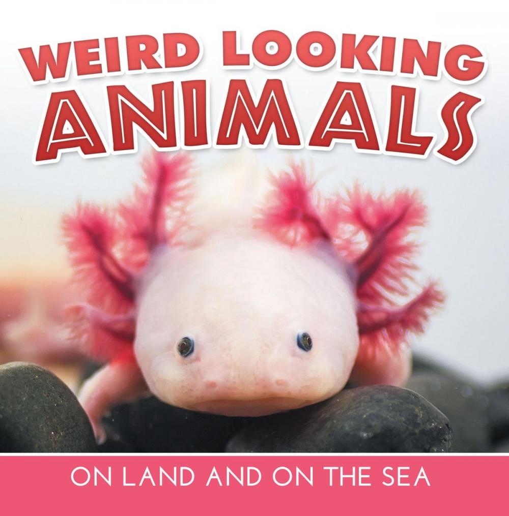 Big bigCover of Weird Looking Animals On Land and On The Sea