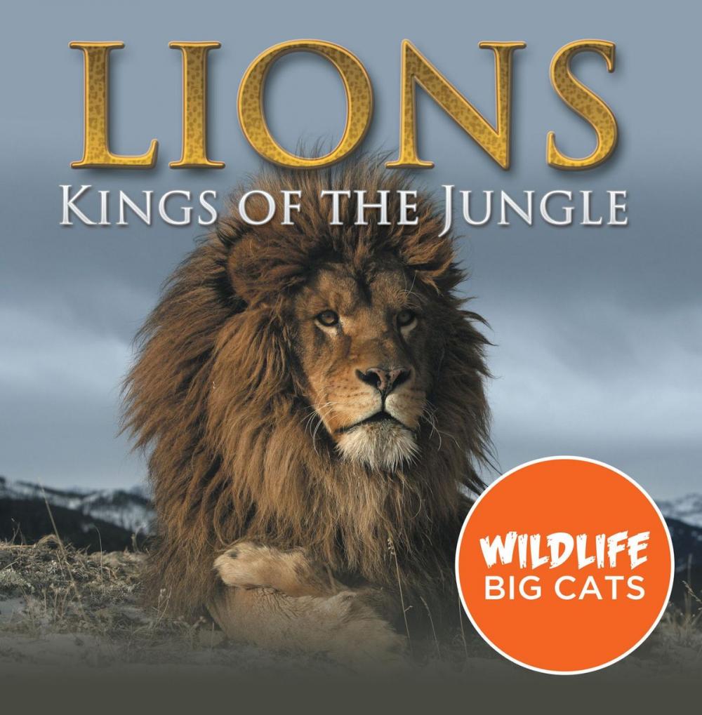 Big bigCover of Lions: Kings of the Jungle (Wildlife Big Cats)