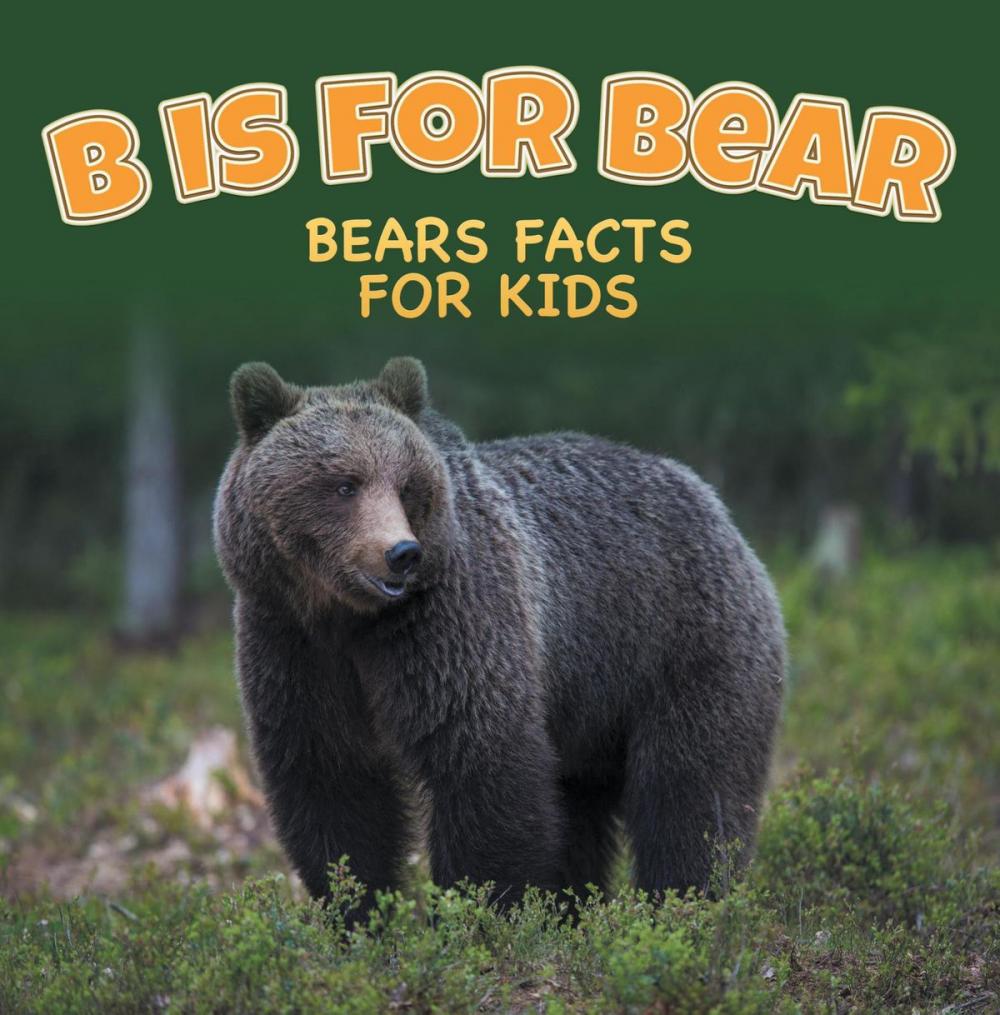 Big bigCover of B is for Bear: Bears Facts For Kids