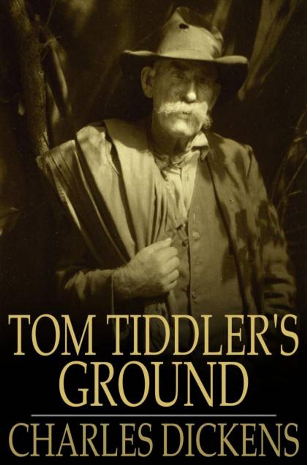 Big bigCover of Tom Tiddler's Ground