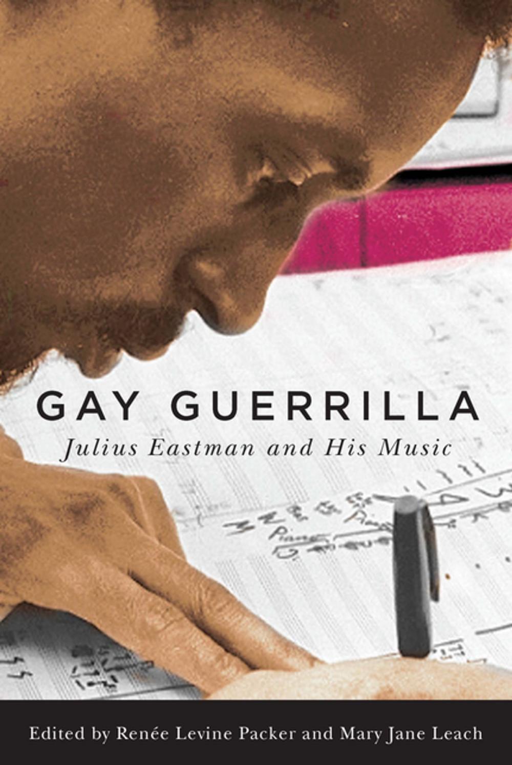 Big bigCover of Gay Guerrilla