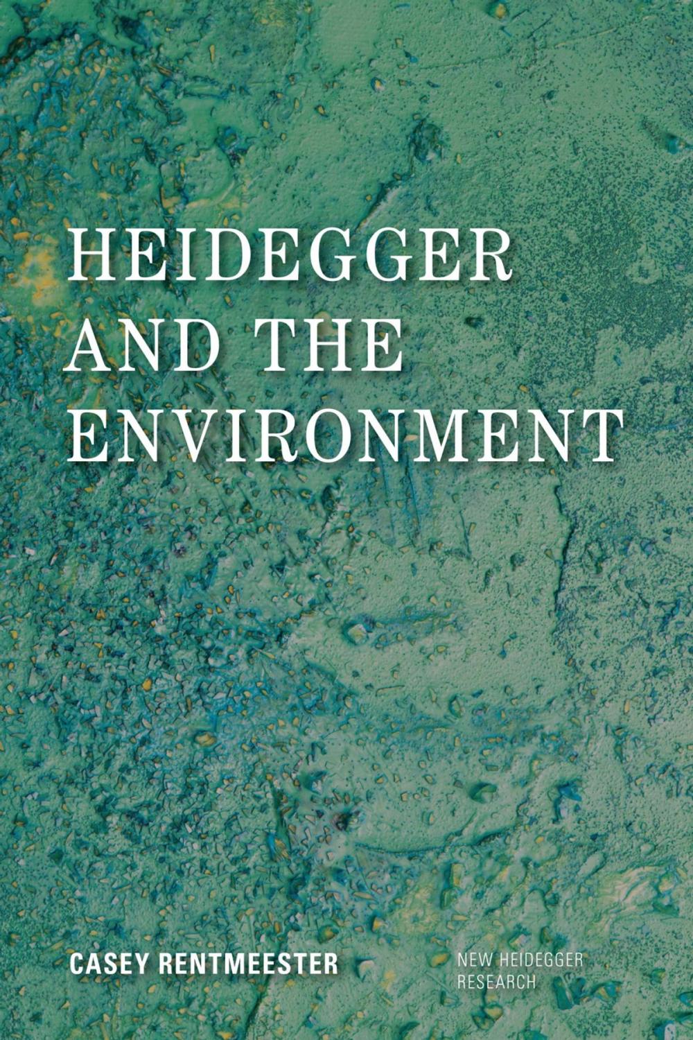 Big bigCover of Heidegger and the Environment