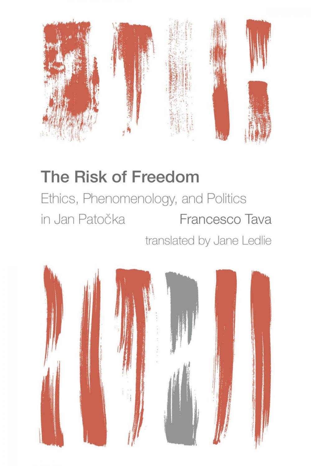 Big bigCover of The Risk of Freedom