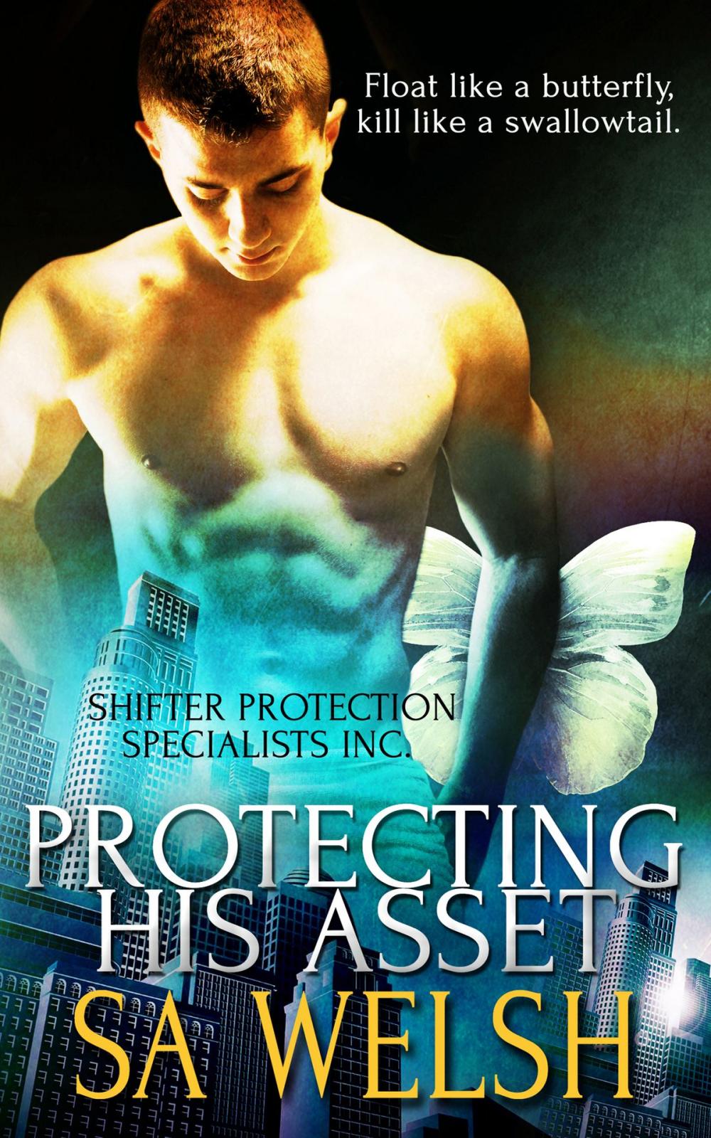 Big bigCover of Protecting His Asset