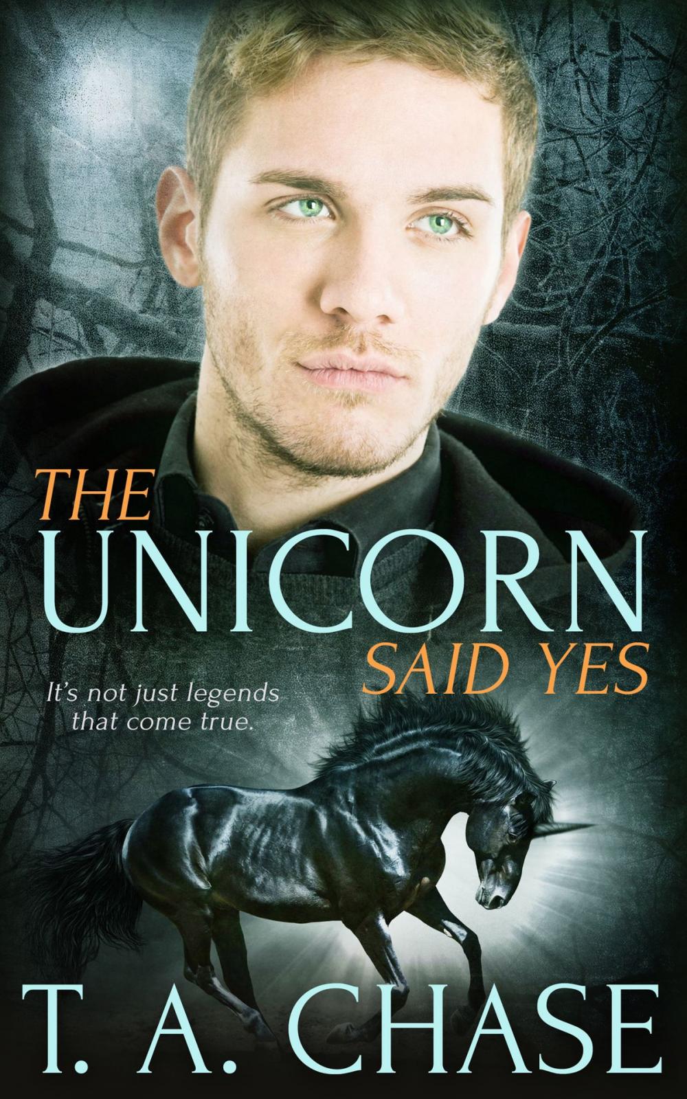 Big bigCover of The Unicorn Said Yes