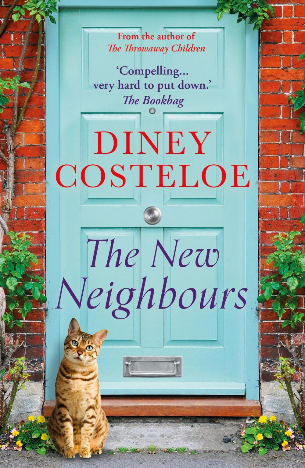 Big bigCover of The New Neighbours