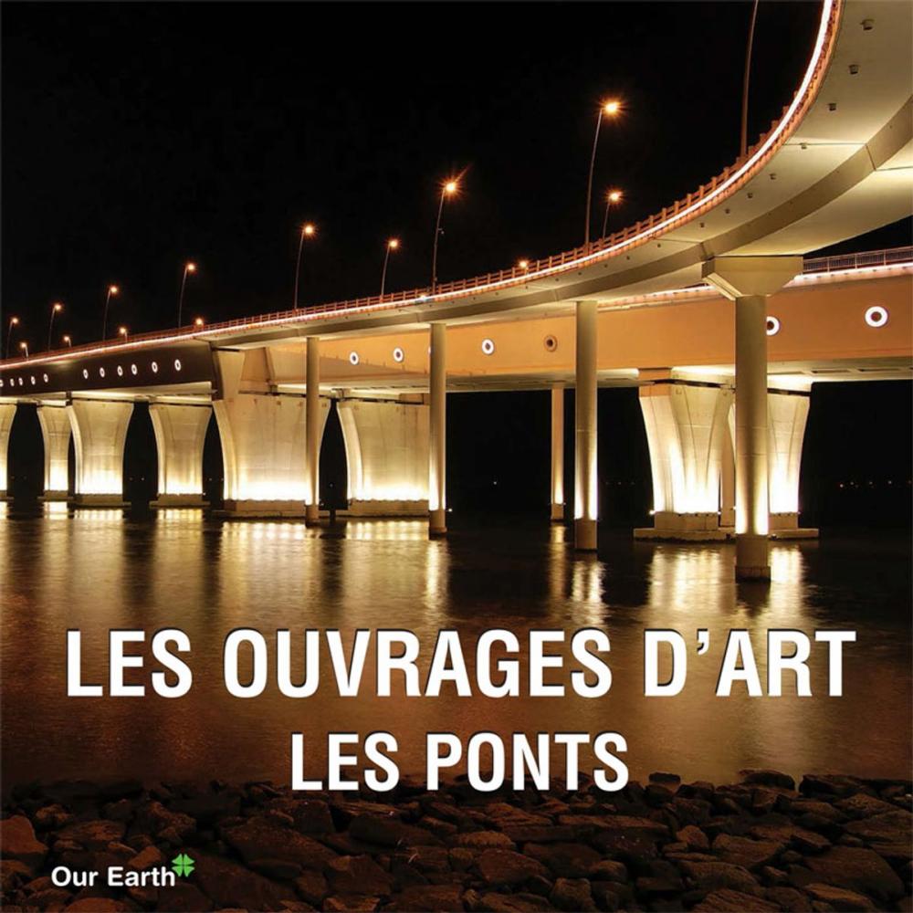 Big bigCover of Les ouvrages d'art: les ponts