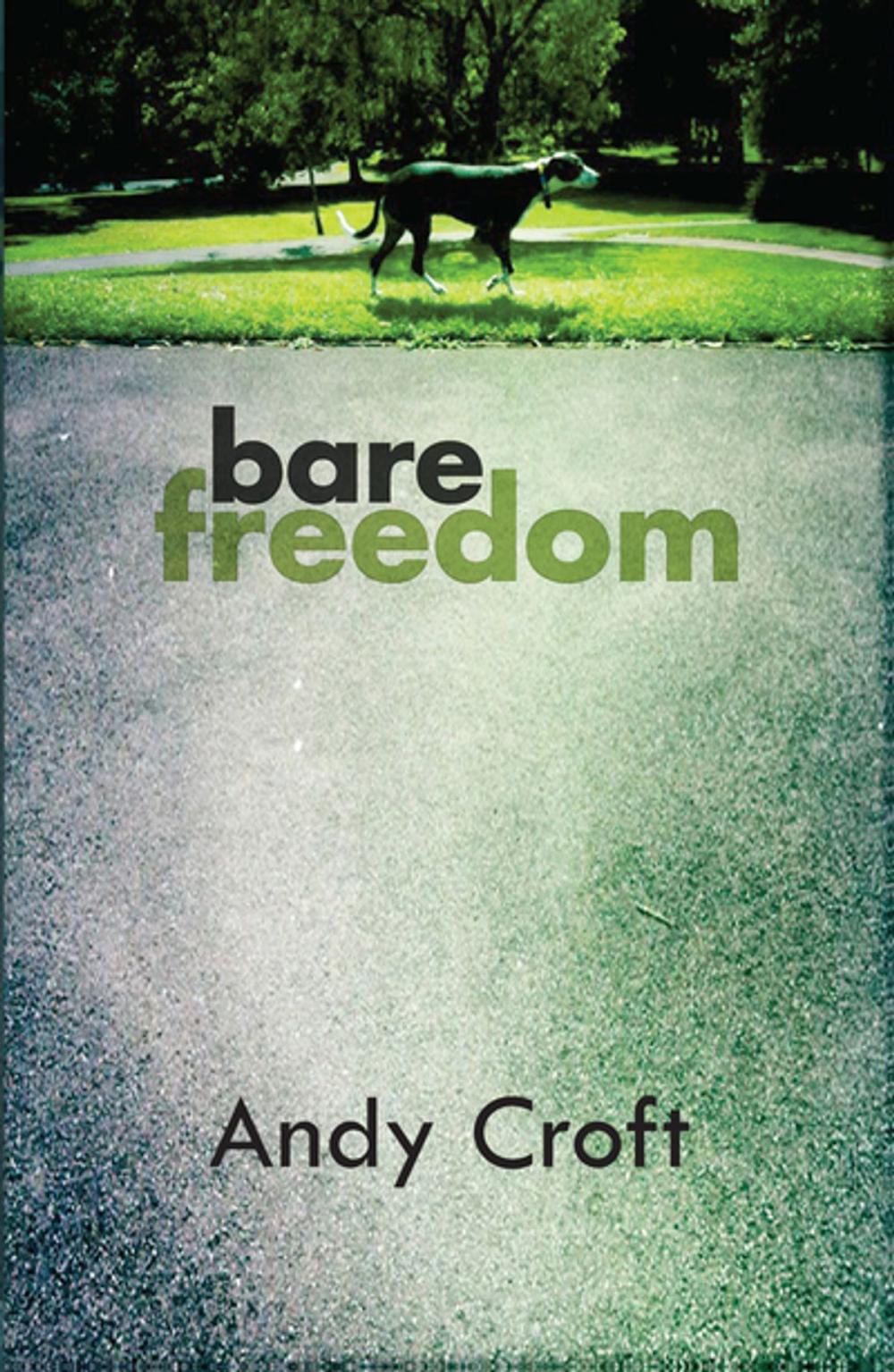 Big bigCover of Bare Freedom