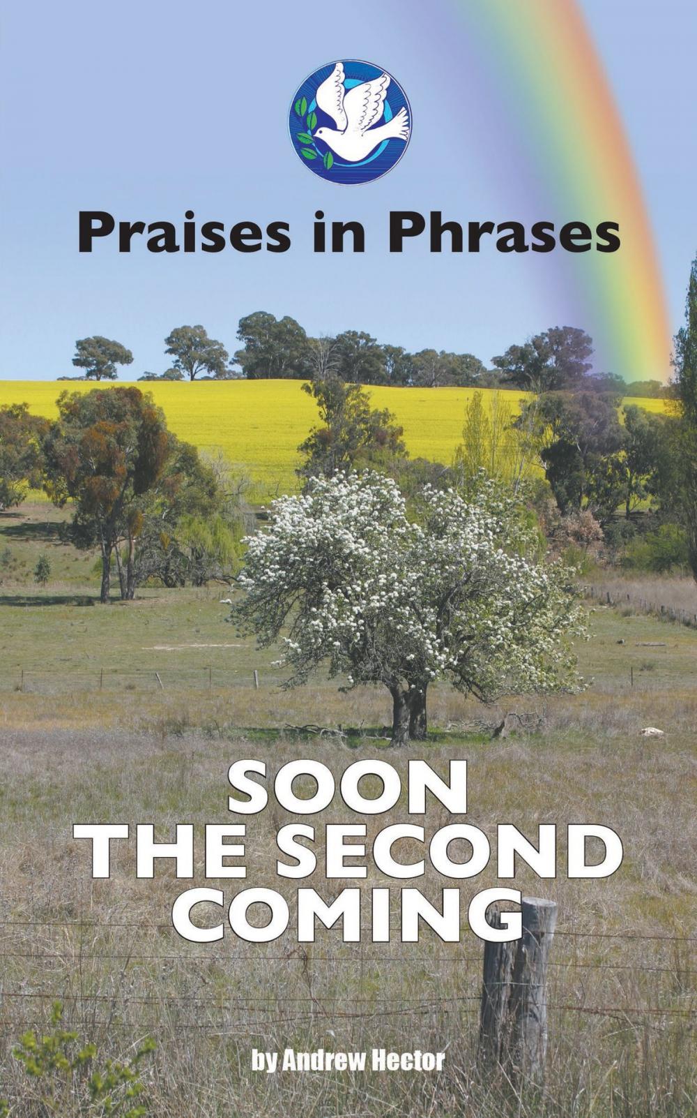 Big bigCover of Praises in Phrases