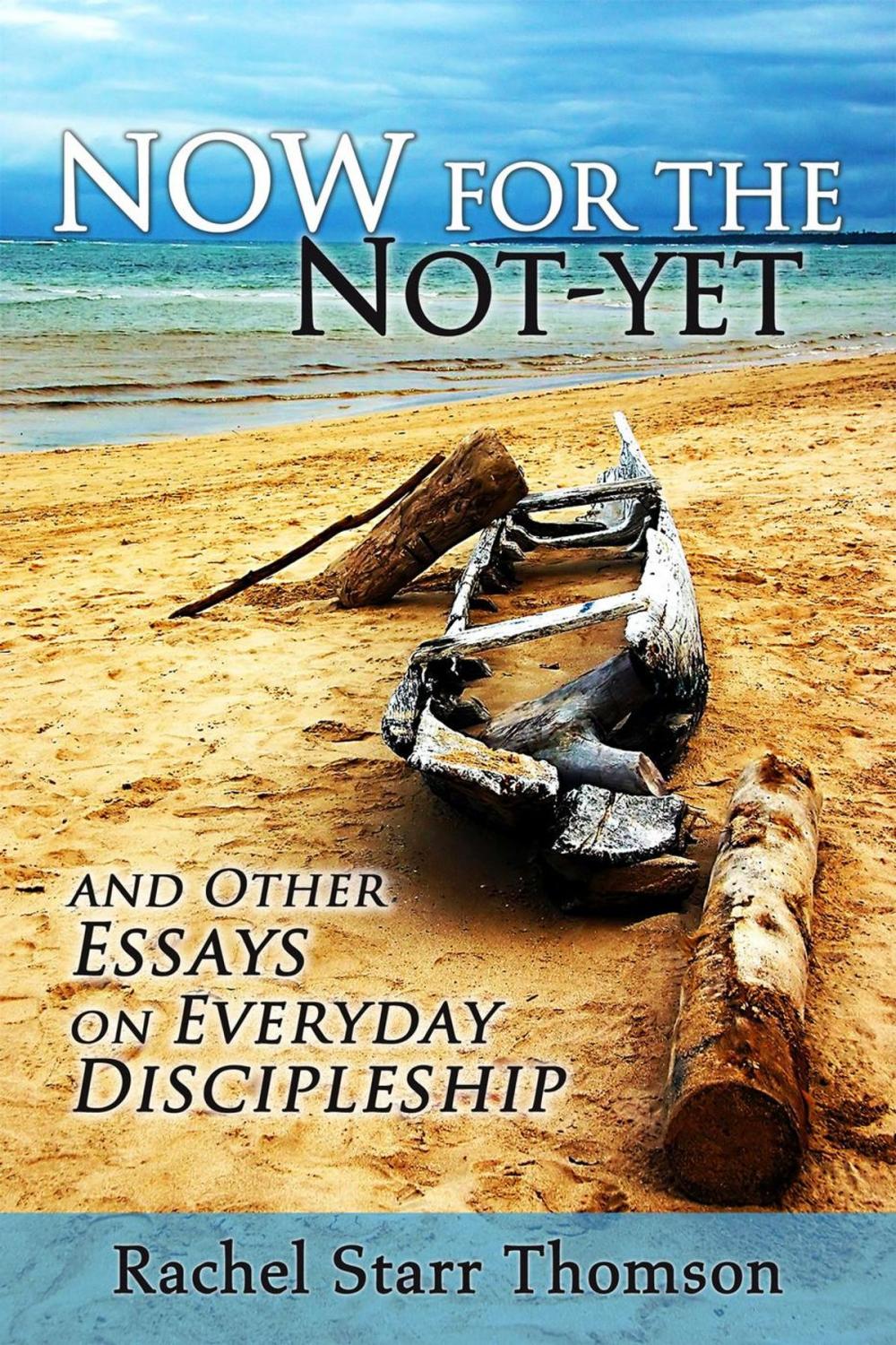 Big bigCover of Now for the Not-Yet: and Other Essays on Everyday Discipleship