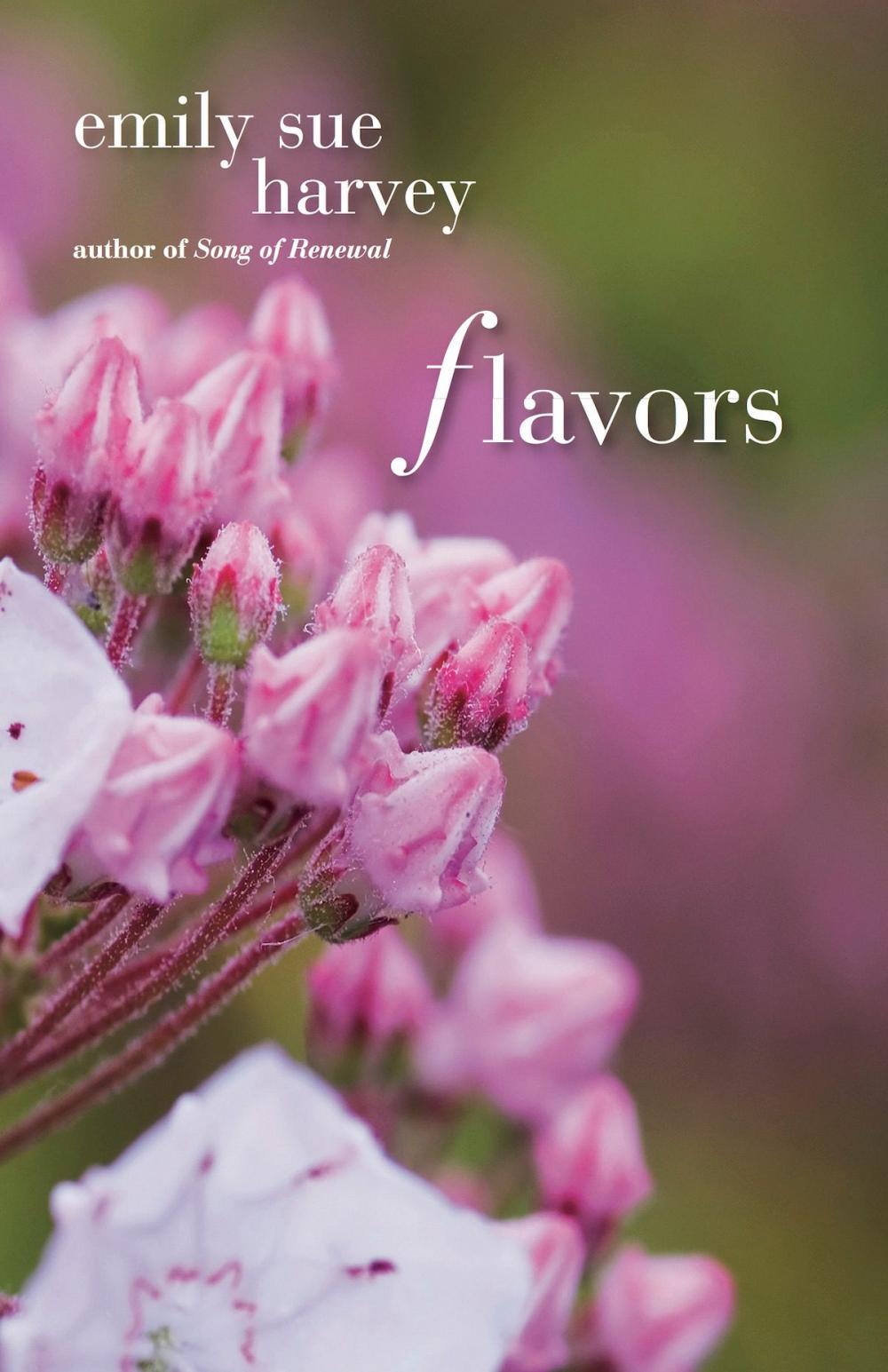 Big bigCover of Flavors