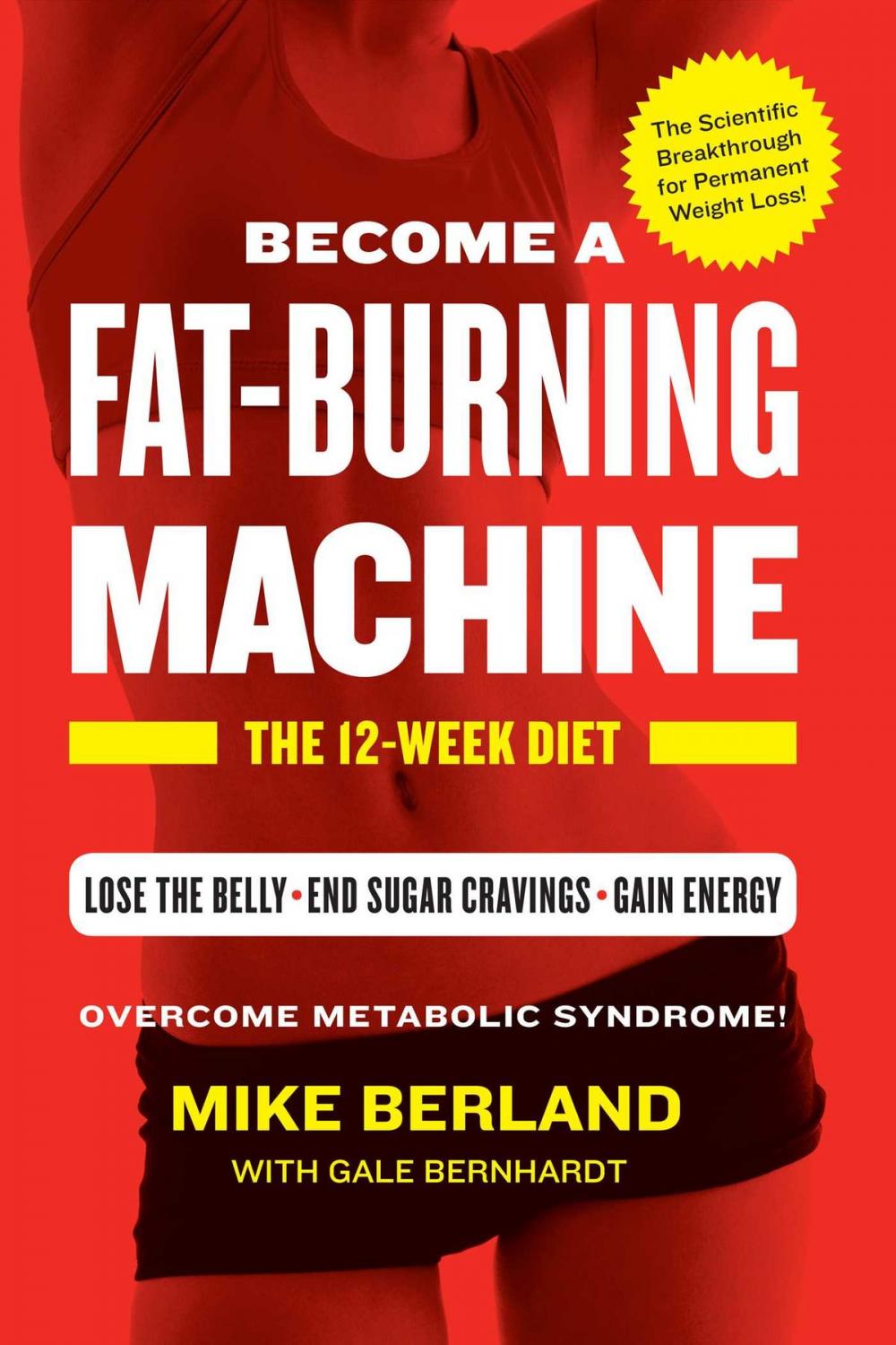 Big bigCover of Fat-Burning Machine