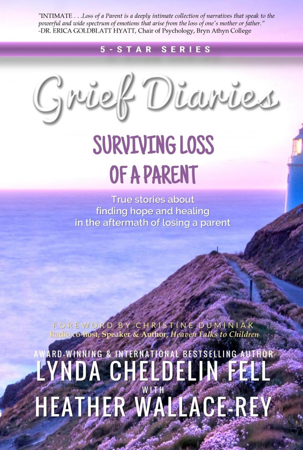 Big bigCover of Grief Diaries