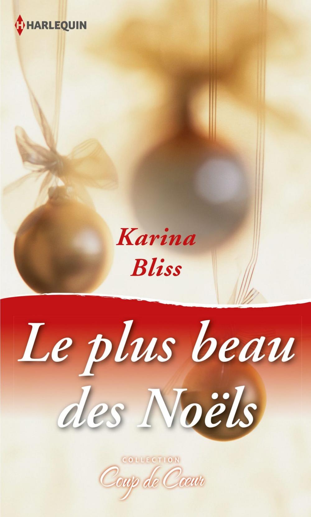 Big bigCover of Le plus beau des Noëls