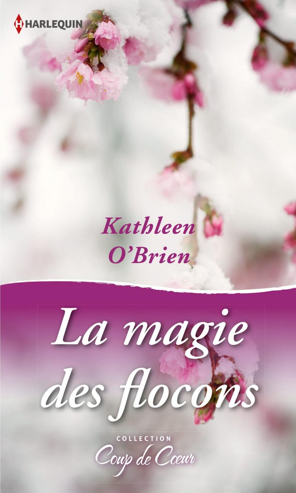 Big bigCover of La magie des flocons