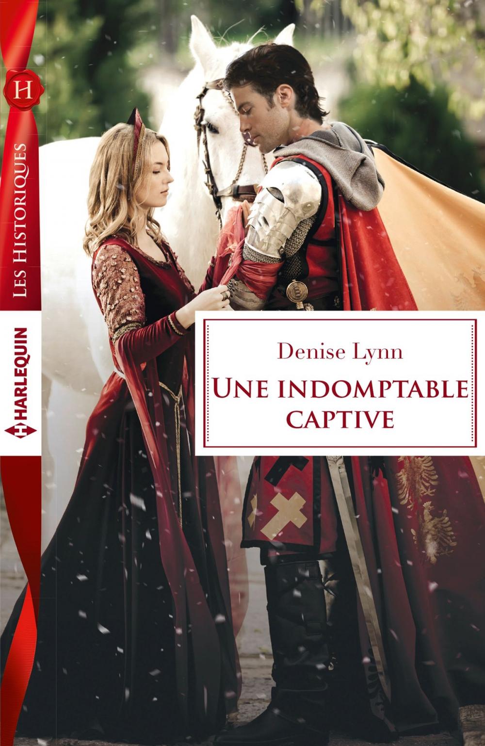 Big bigCover of Une indomptable captive