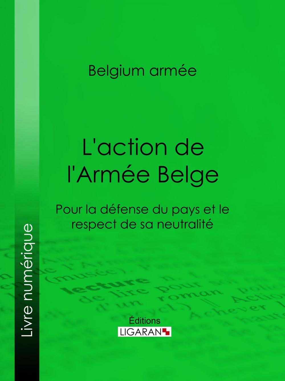 Big bigCover of L'action de l'Armée Belge