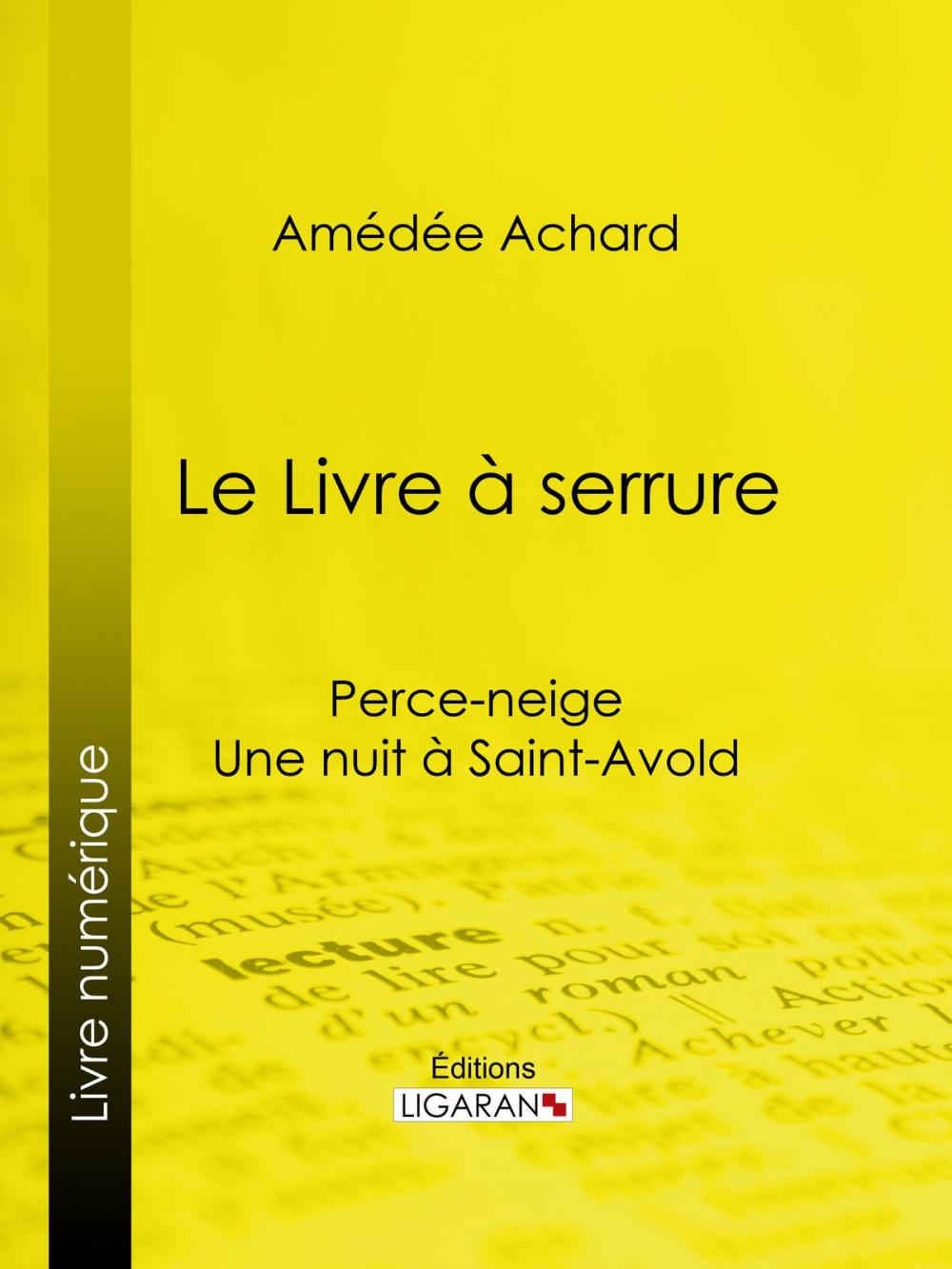 Big bigCover of Le Livre à serrure