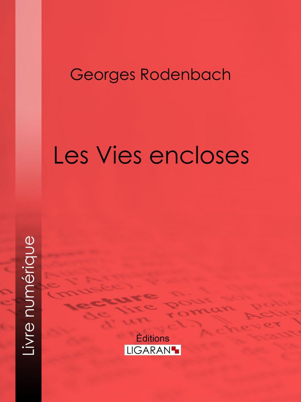 Big bigCover of Les Vies encloses