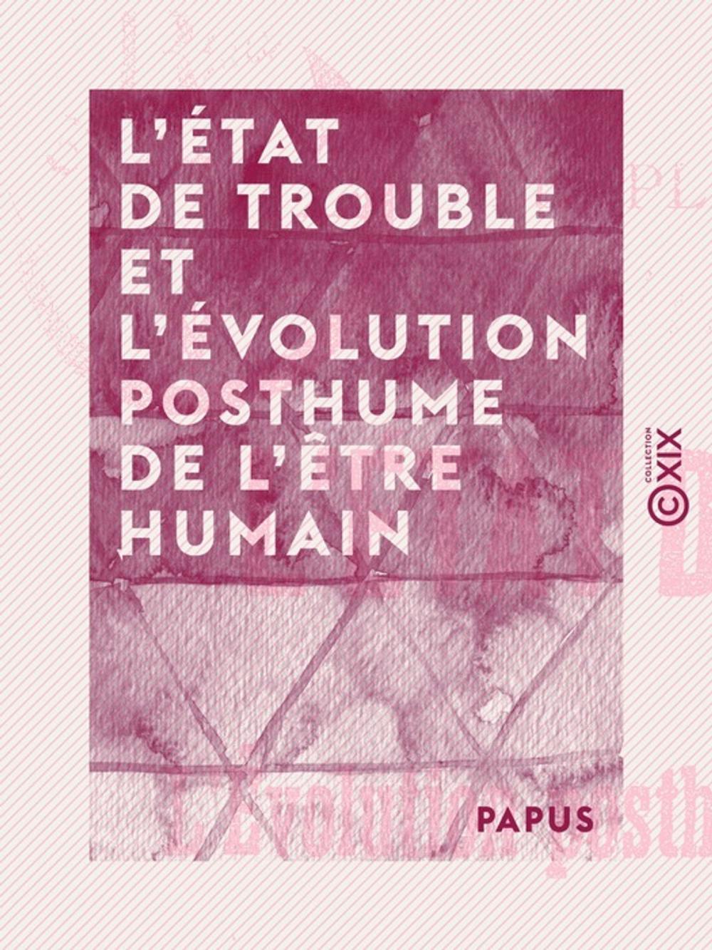 Big bigCover of L'État de trouble et l'évolution posthume de l'être humain